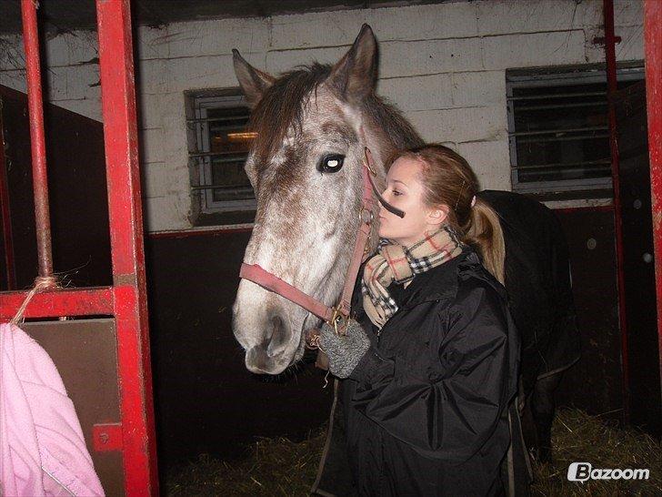 Anden særlig race Sahvanna billede 16