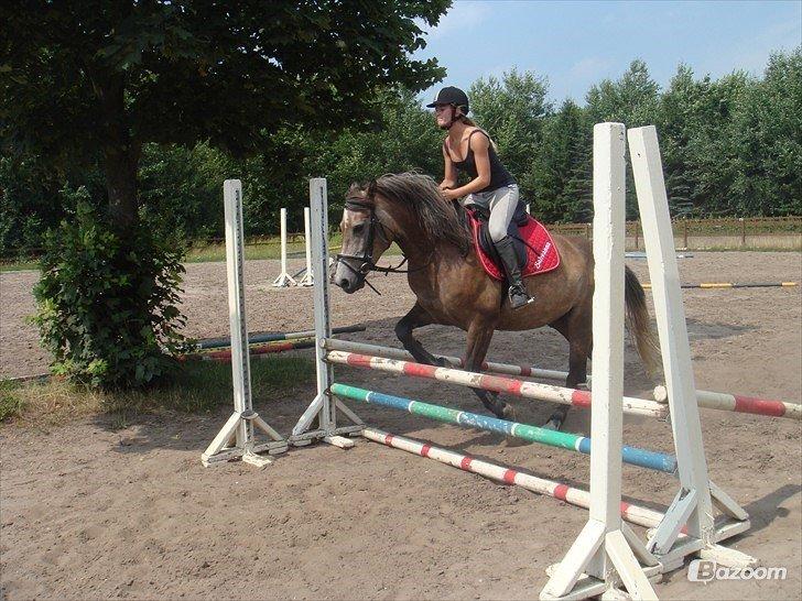 Anden særlig race Sahvanna billede 4