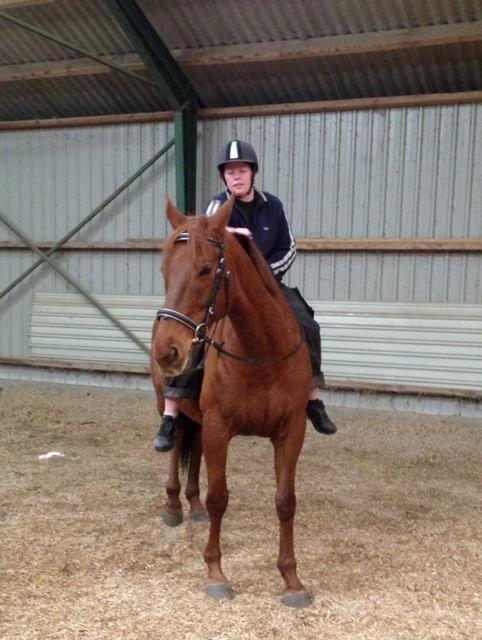 Fuldblod (XX) Lady Dybvad billede 4