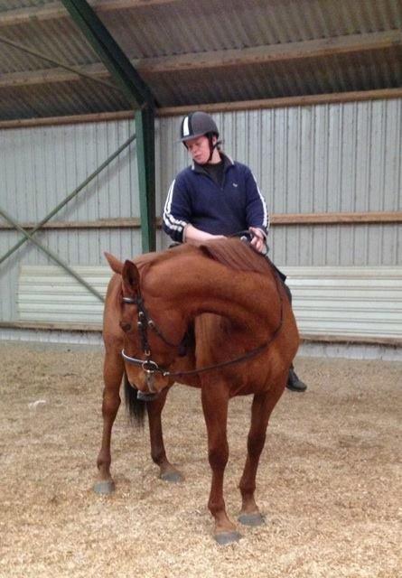 Fuldblod (XX) Lady Dybvad billede 5