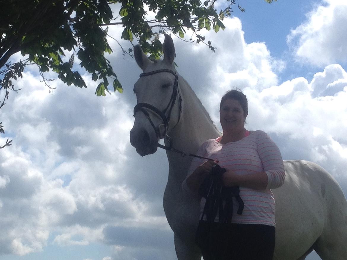 Lipizzaner Dalsø´s kiri billede 35