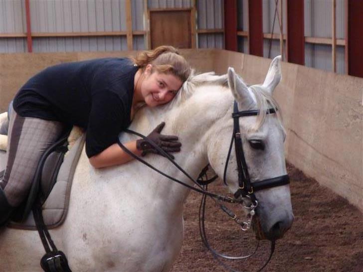 Lipizzaner Dalsø´s kiri - vi er lidt træt foto:Danny billede 2