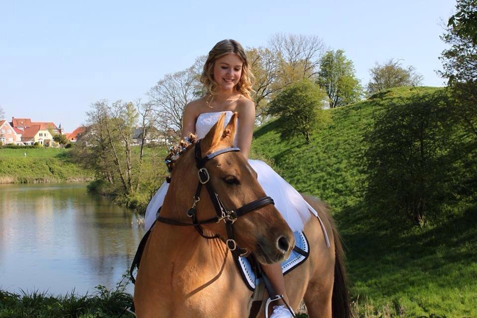 Anden særlig race Shamrocks Lotte - Hej og velkommen til Lottes profil - Konfirmation med ponyen <3 Bedste dag NOGENSINDE!! billede 1