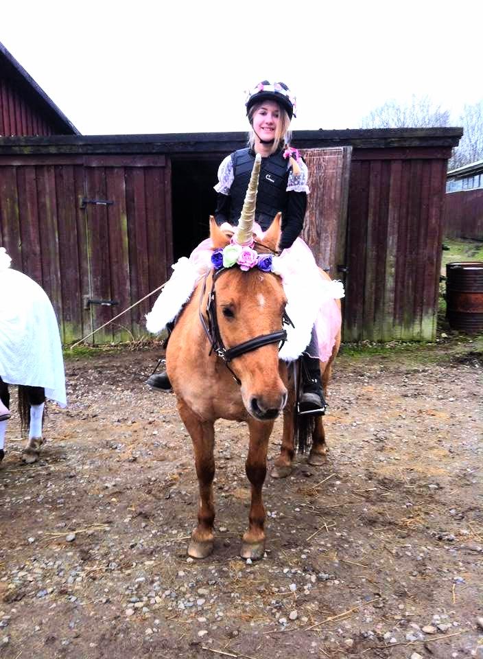 Anden særlig race Shamrocks Lotte - Fastelavns stævne 2014. 4 plads ;) billede 7