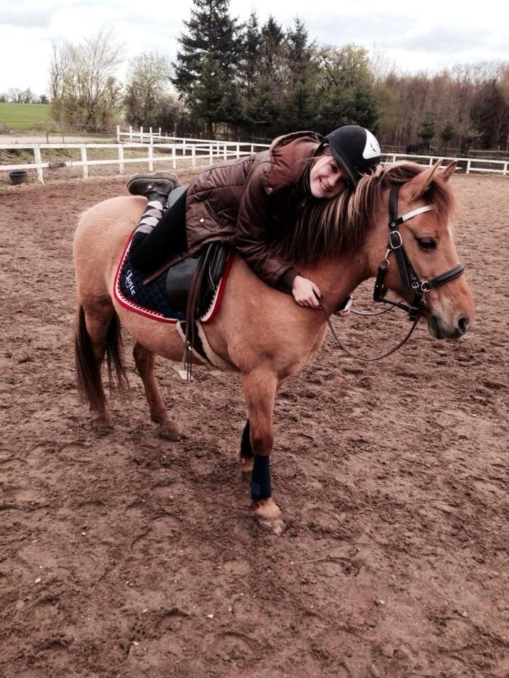 Anden særlig race Shamrocks Lotte - KRAAAAAM <3  billede 4