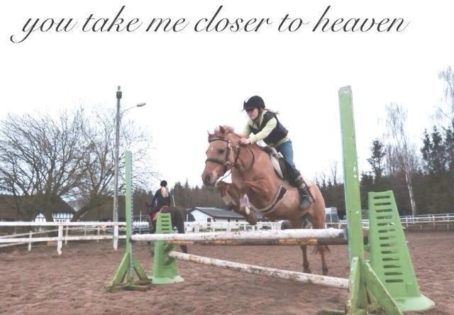 Anden særlig race Shamrocks Lotte - Du tar mig tætter på himlen <3 billede 10