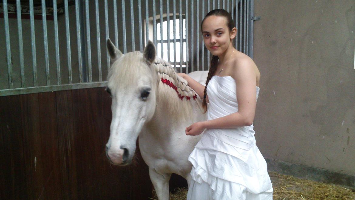 Welsh Pony (sec B) Zafir - Zafir og jeg til min konfirmation <3 billede 2