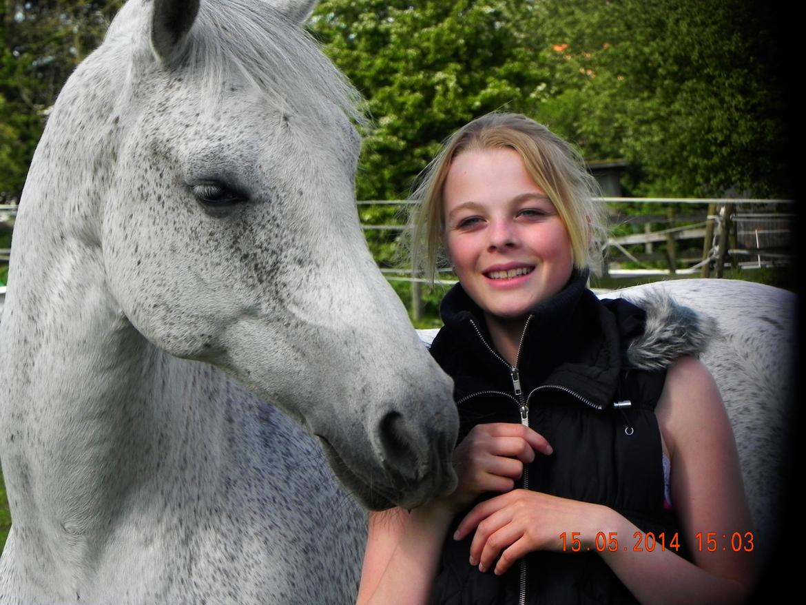 Anden særlig race Houdini<33 [min hest] - bedste pony i verden<3333 billede 1