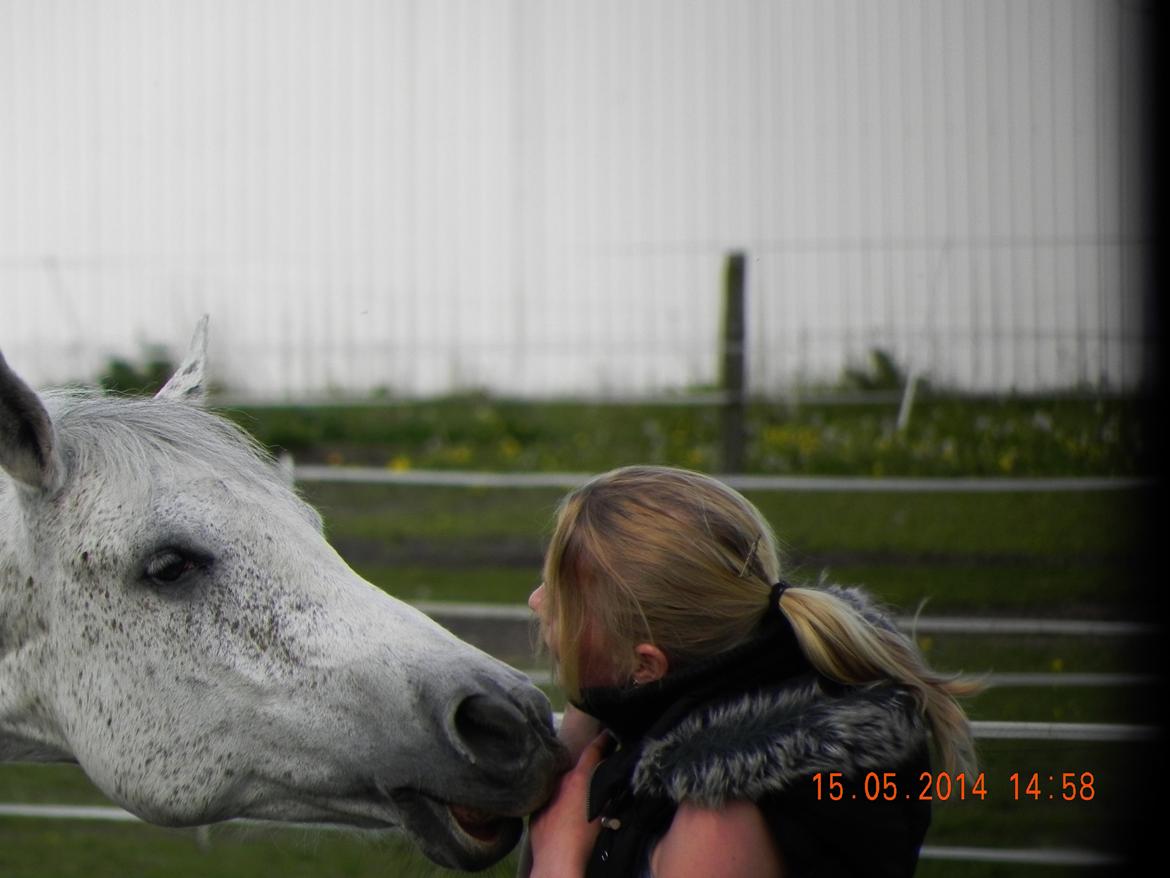 Anden særlig race Houdini<33 [min hest] - kyssss<33 billede 18