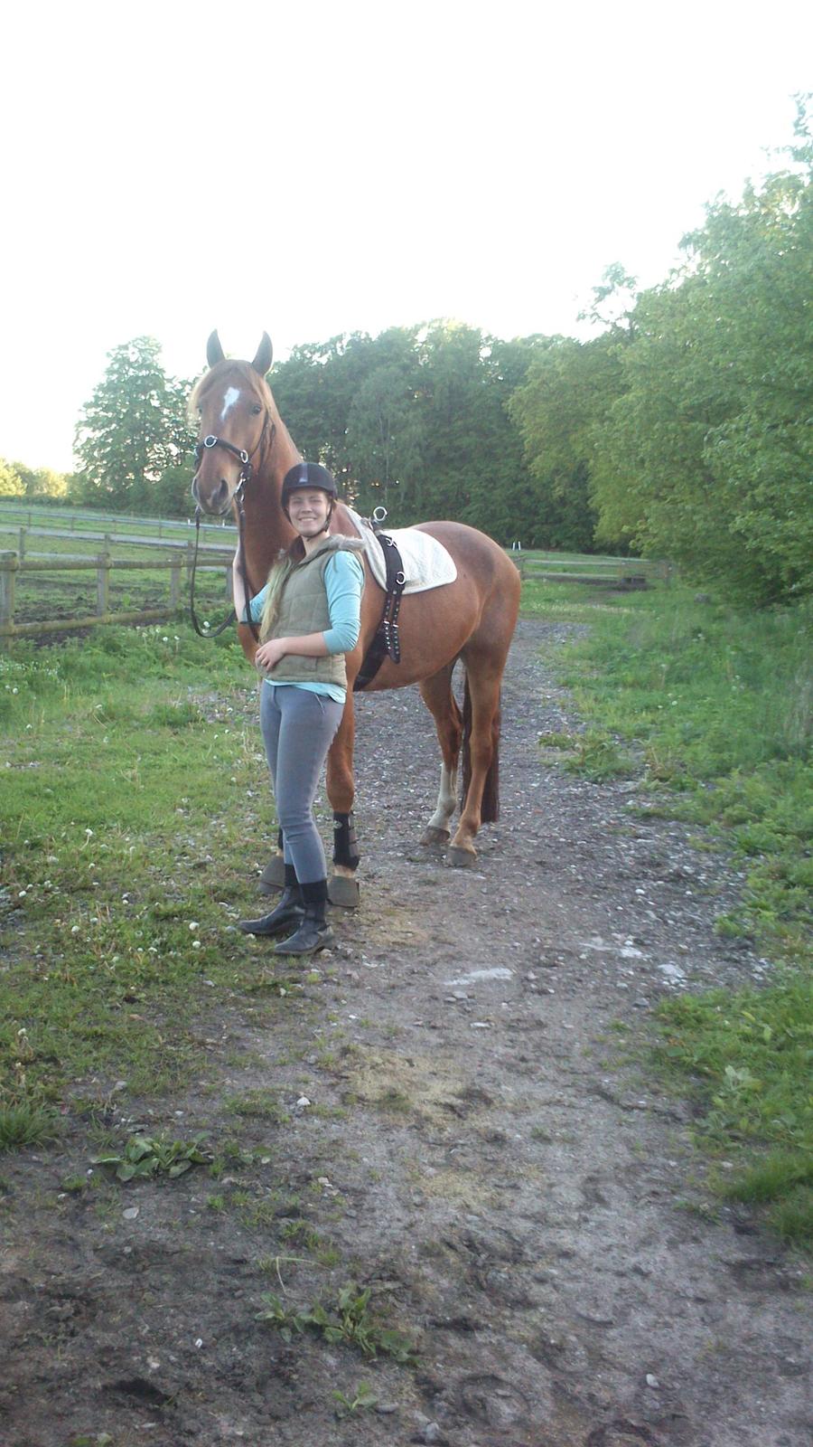 Frederiksborg Smakkerup's Tayson - Er kommet til at holde så fandens meget af den hest..! billede 8