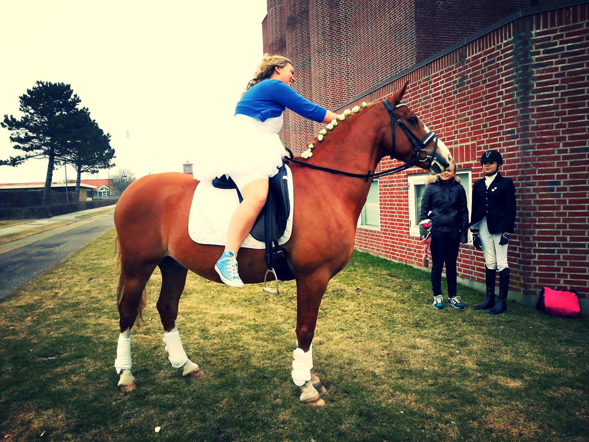 Anden særlig race Milando - Smækker lækker! billede 9