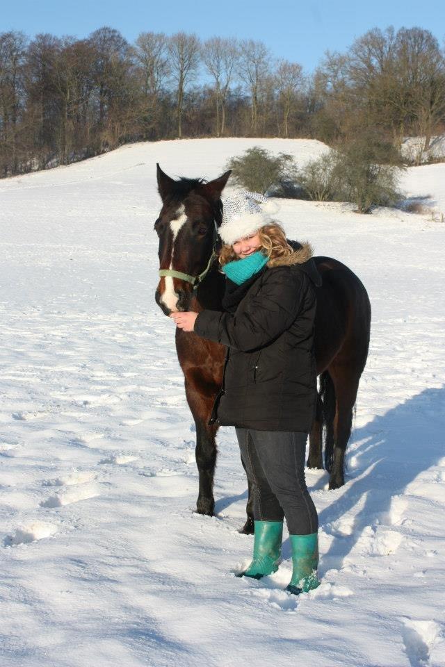 Connemara Limelight (Tidl part) billede 1