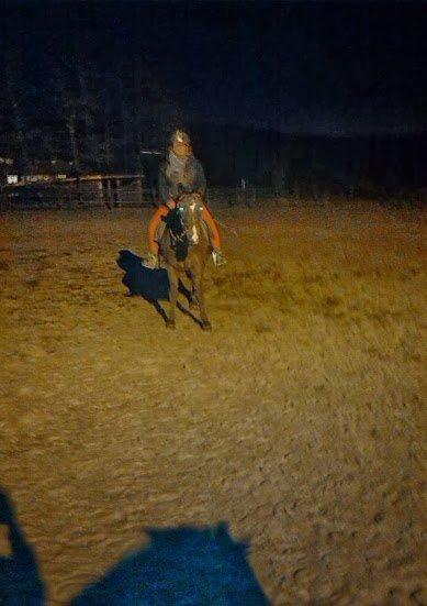 Connemara Limelight (Tidl part) billede 10