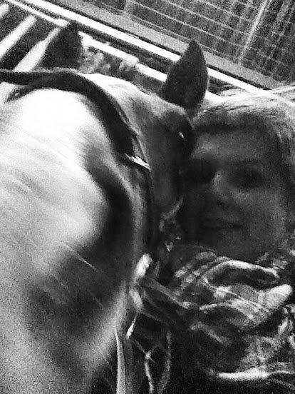 Connemara Limelight (Tidl part) billede 11