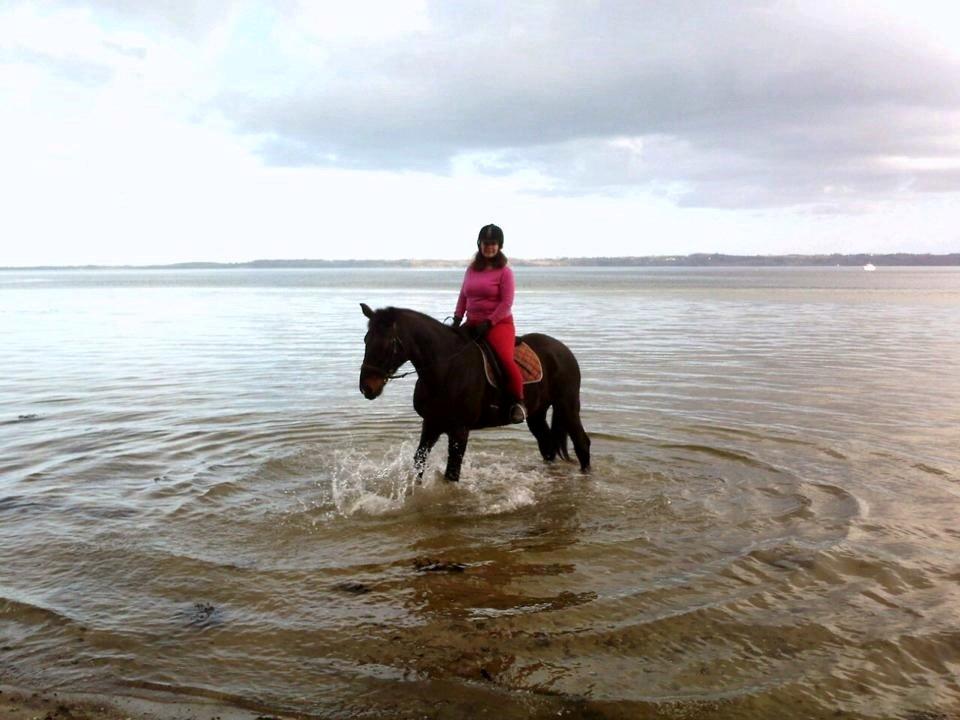 Oldenborg Urno <3 billede 5