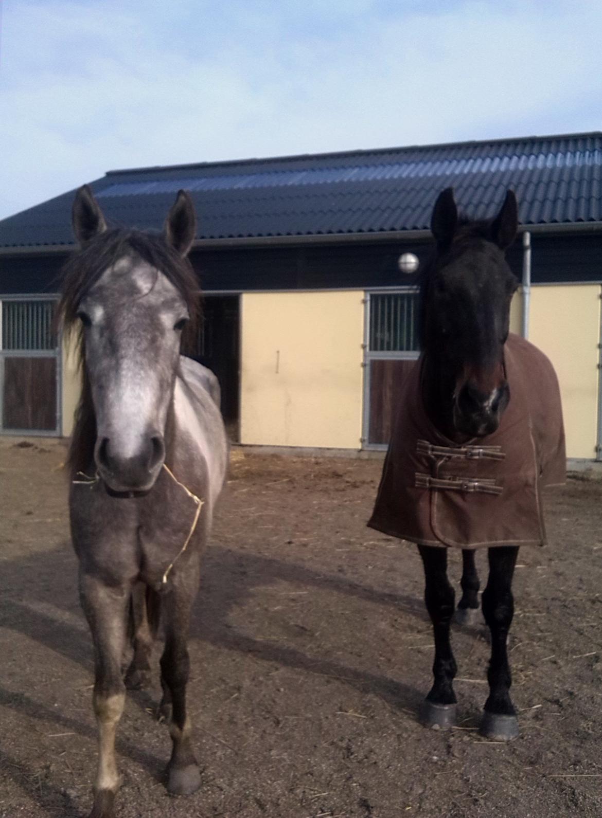 Oldenborg Urno <3 billede 13