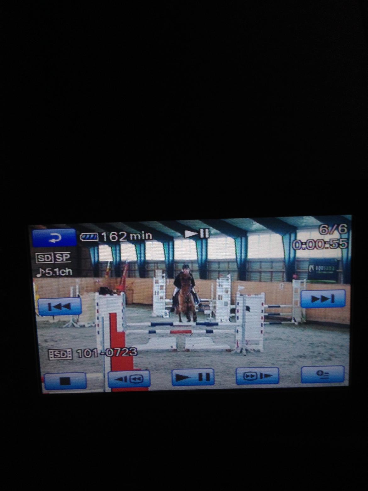 Anden særlig race Golden Fox<3 R.I.P - Stævne i Nørre åby la* vores første la og første uplaceret billede 16