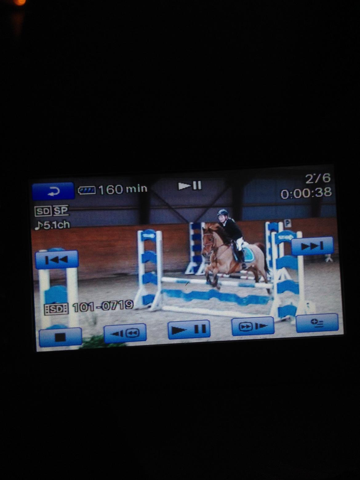 Anden særlig race Golden Fox<3 R.I.P - stævne i hestehavens rideklub LA** billede 19