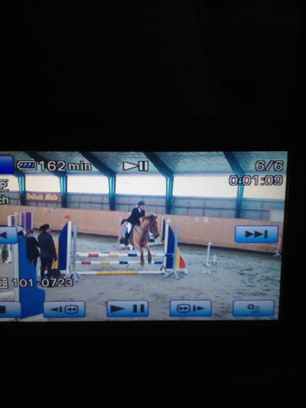 Anden særlig race Golden Fox<3 R.I.P - Stævne i nørre åby la* vores første la og førstuplceret billede 18