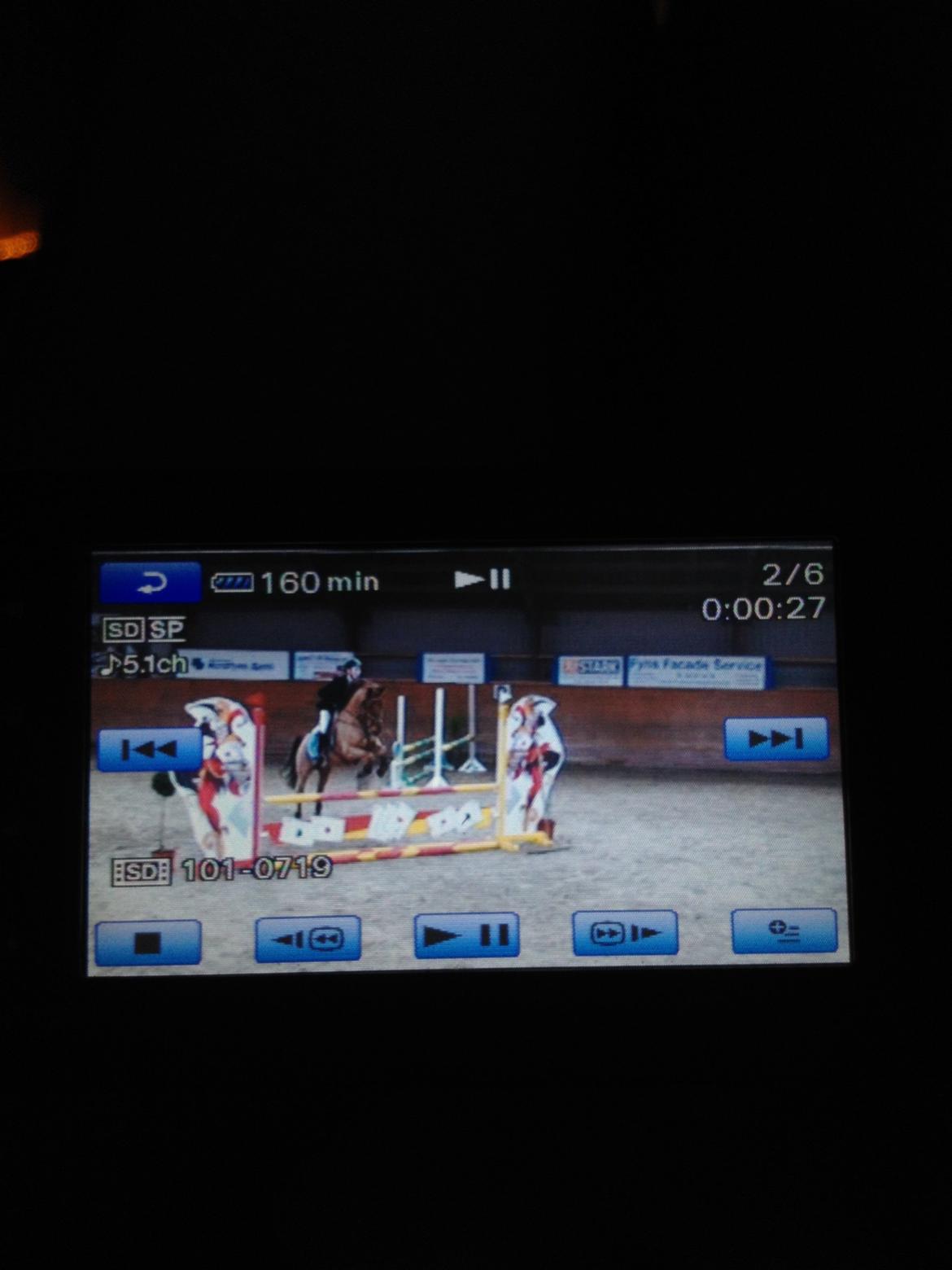 Anden særlig race Golden Fox<3 R.I.P - stævne i Hestehavens rideklub la** billede 20