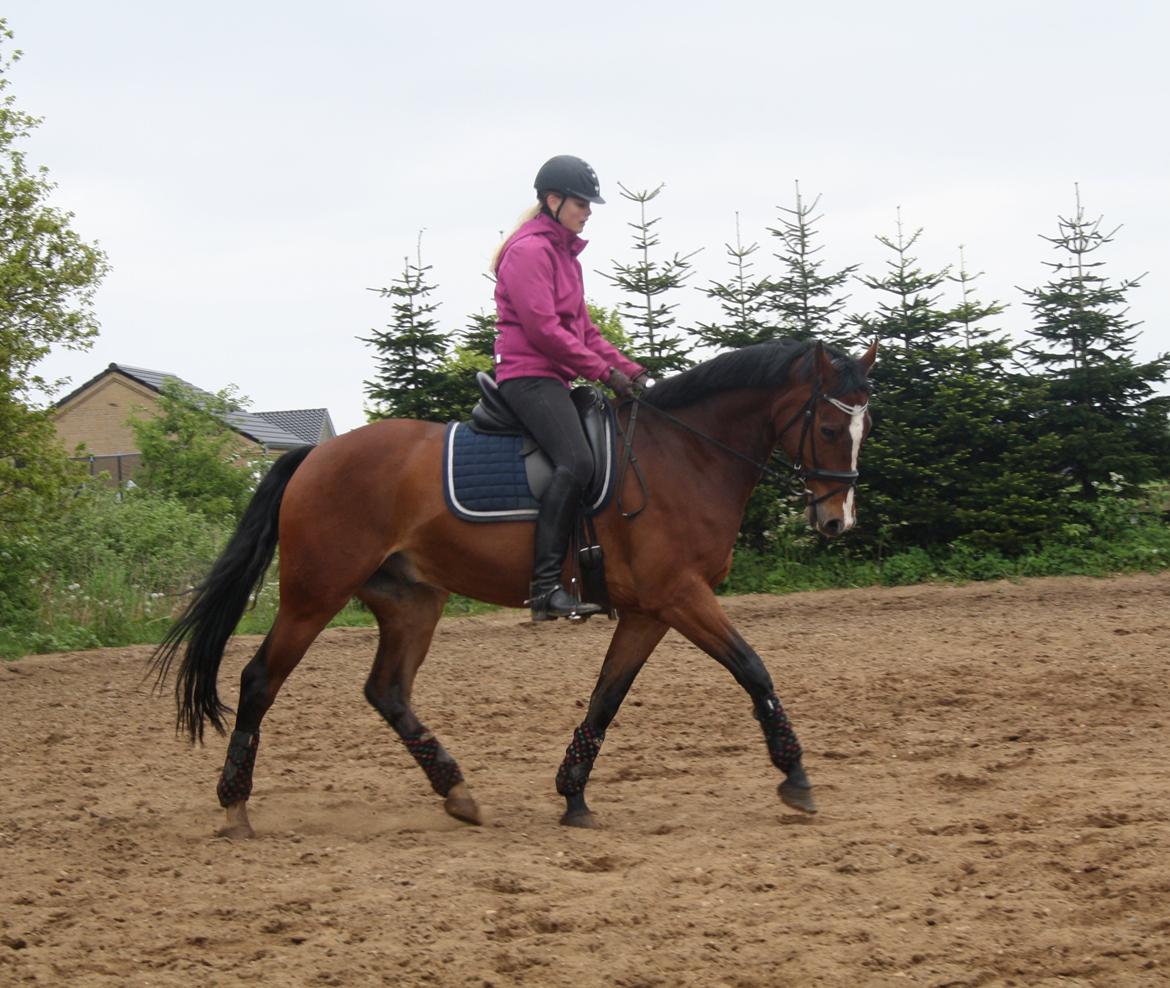 Oldenborg Narnio Roi - Min stjerne <3 billede 25