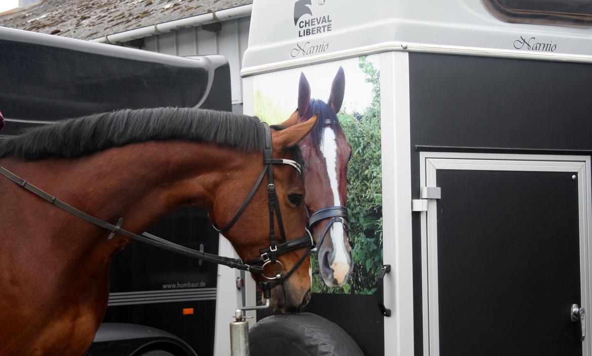 Oldenborg Narnio Roi billede 31