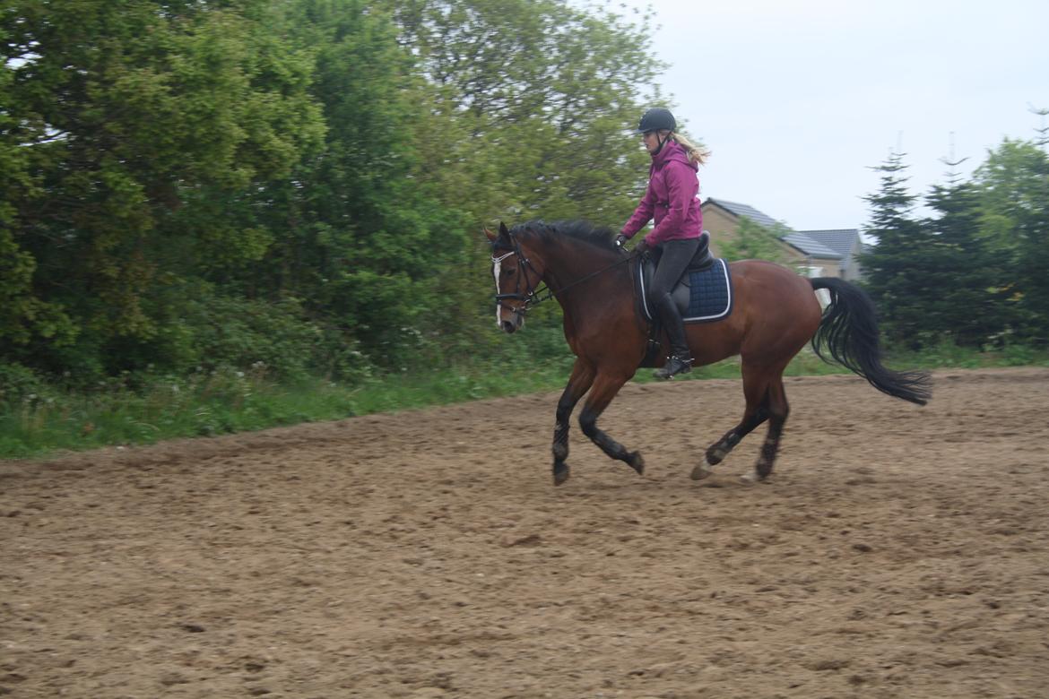 Oldenborg Narnio Roi billede 19