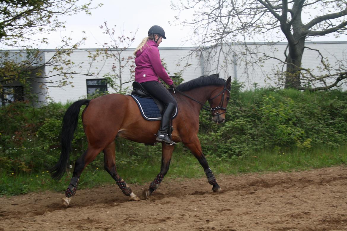 Oldenborg Narnio Roi billede 46