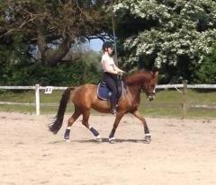 DSP Luanda billede 15