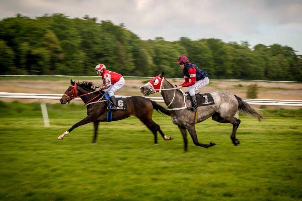 Fuldblod (XX) Mill's Finest billede 15