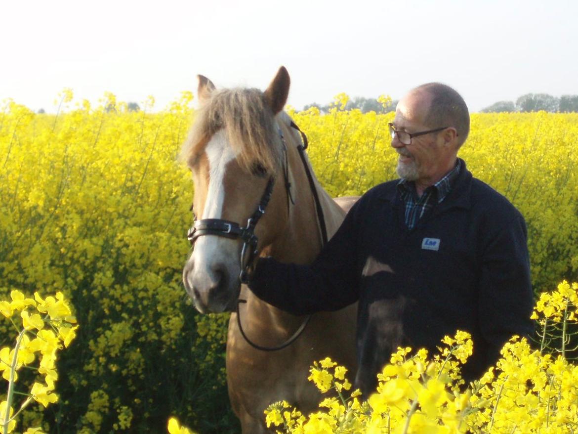 Anden særlig race RAS "Flotte fyr" - Raps mark Maj 2014 billede 28