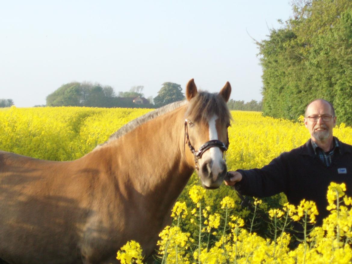 Anden særlig race RAS "Flotte fyr" billede 29