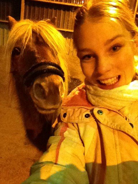 Shetlænder Shelby - Selfi af mig og Shelby under træningen i hallen billede 14