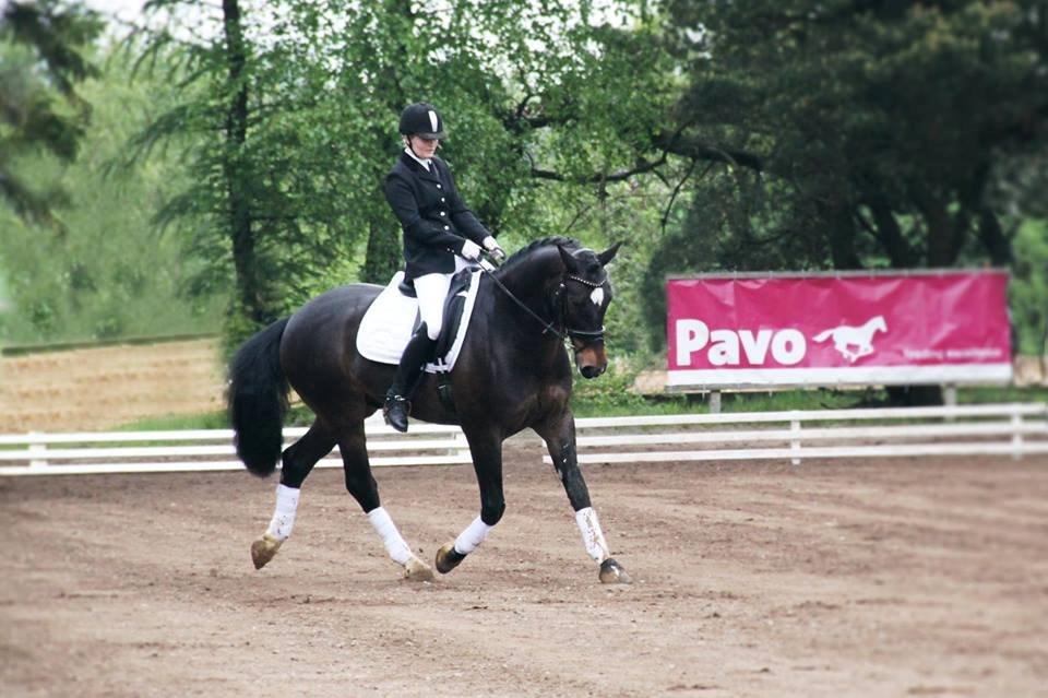 Dansk Varmblod Mosegårdens Diamando <3 - 2014 Pavo sommerstævne i holstebro - første c-stævne billede 6