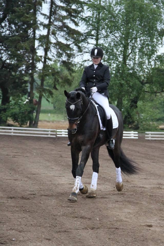 Dansk Varmblod Mosegårdens Diamando <3 - 2014 Pavo sommerstævne i holstebro - første c-stævne billede 7