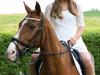 Irsk Sportspony Jim's Flight A-pony [Himmelhest]