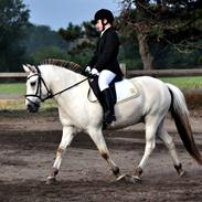 Anden særlig race Kiki.