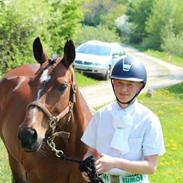 Dansk Varmblod Ellely's Emotion (tidligere hest)