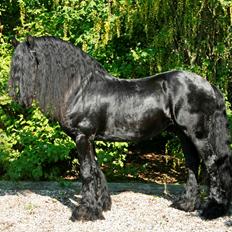 Frieser Herros van den Eppenzolder