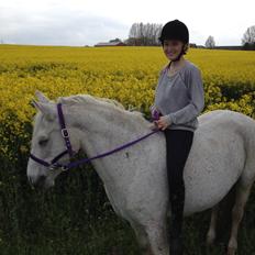 Connemara Frostegård's Honeymoon