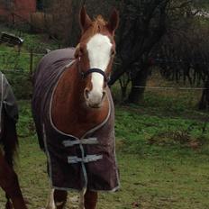 Paint Gambler Slowmotion