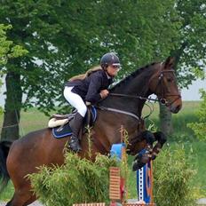 Holstener Aloa Lyngriis