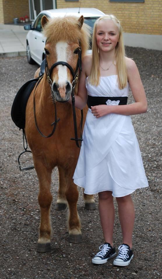 Islænder Glossi - Konfirmation 16/5 - 2014 billede 4