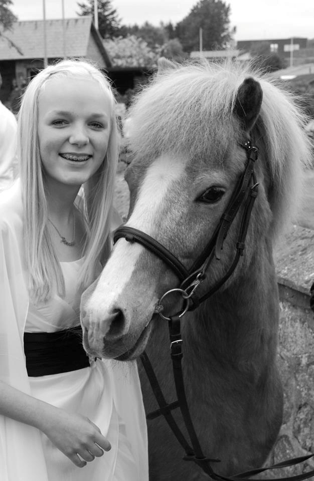 Islænder Glossi - 16/5 - 2014 billede 1