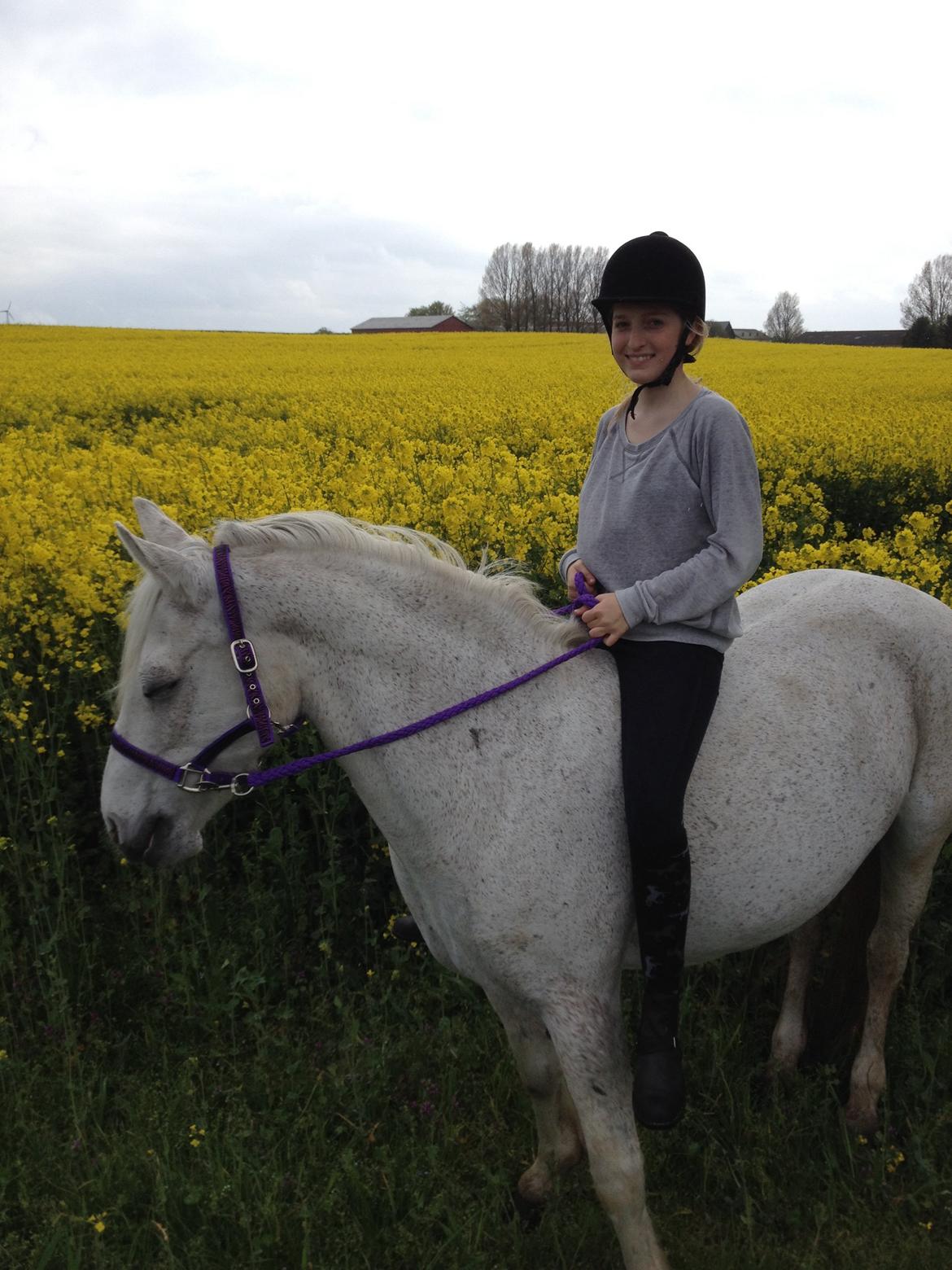 Connemara Frostegård's Honeymoon - Ved rapsmarken i grime og træktov <3 billede 3