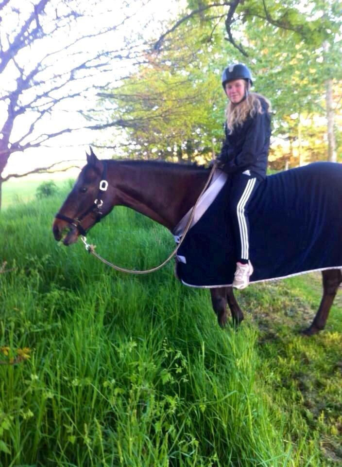 Anden særlig race Zeus<3 -  Nød den sidste aften med ham! D. 15/5-14<3 billede 4