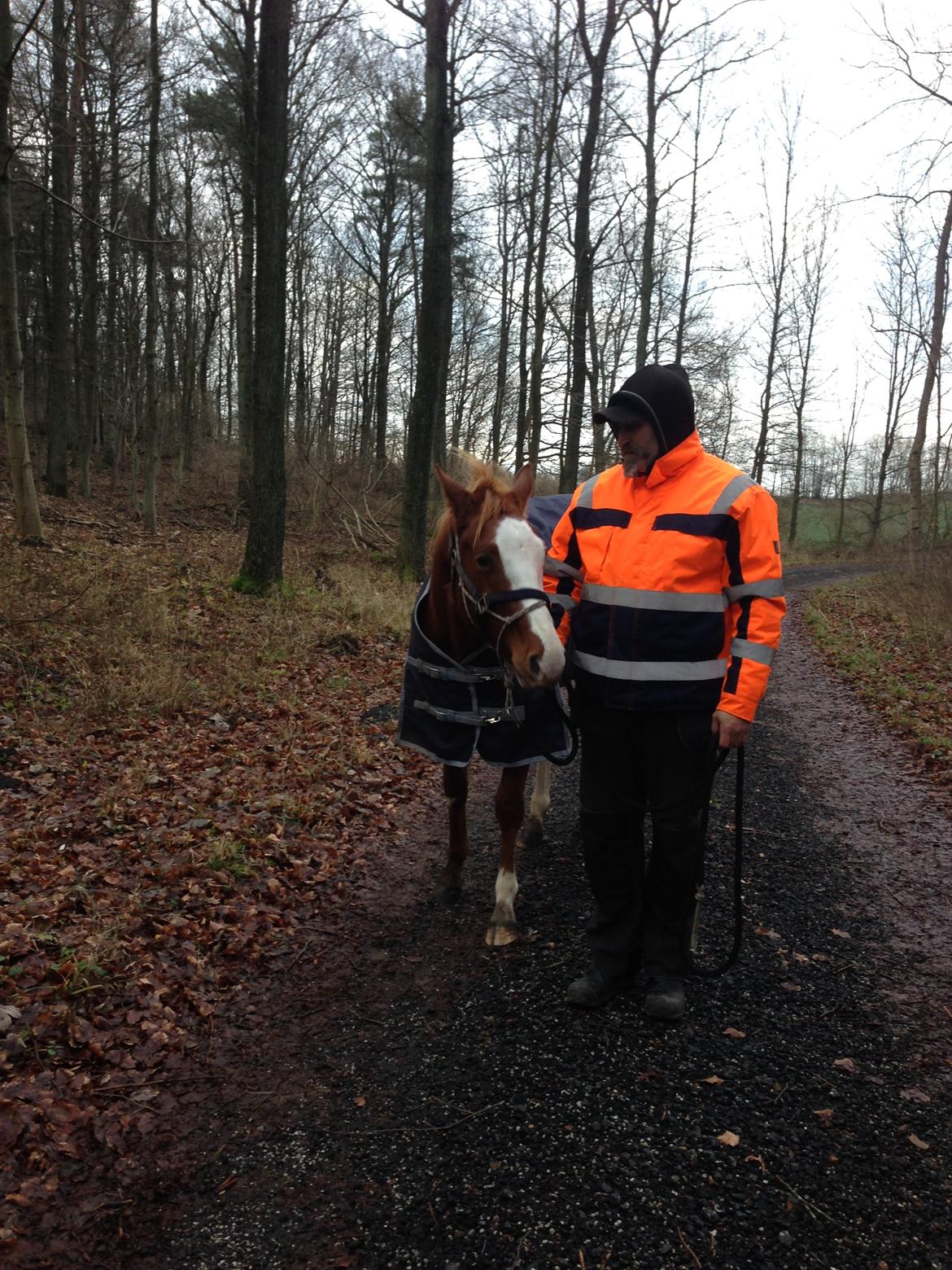 Paint Gambler Slowmotion billede 3