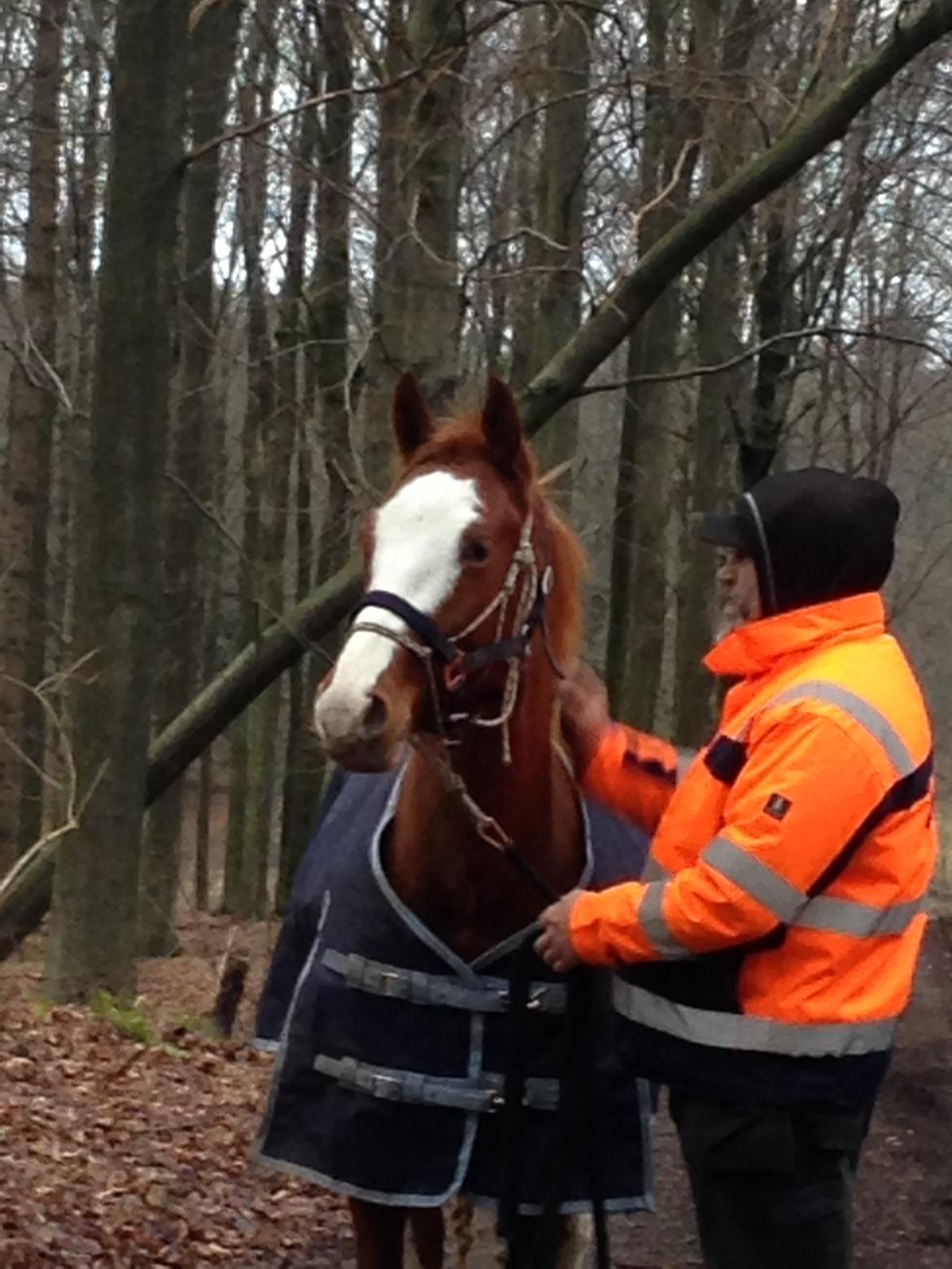 Paint Gambler Slowmotion billede 2