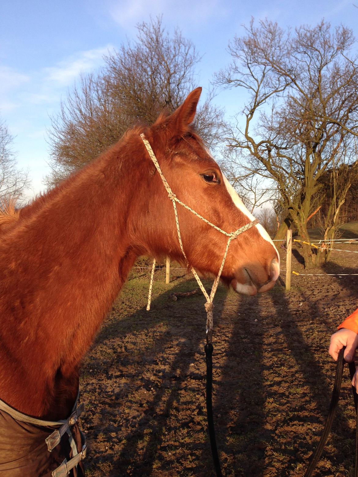 Paint Gambler Slowmotion billede 6