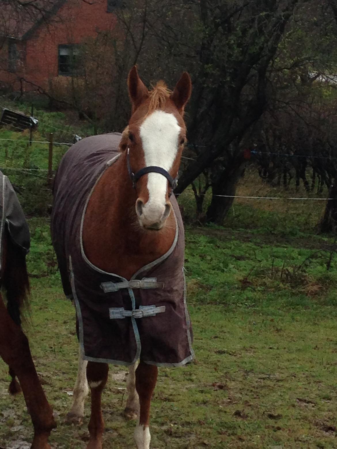 Paint Gambler Slowmotion billede 1